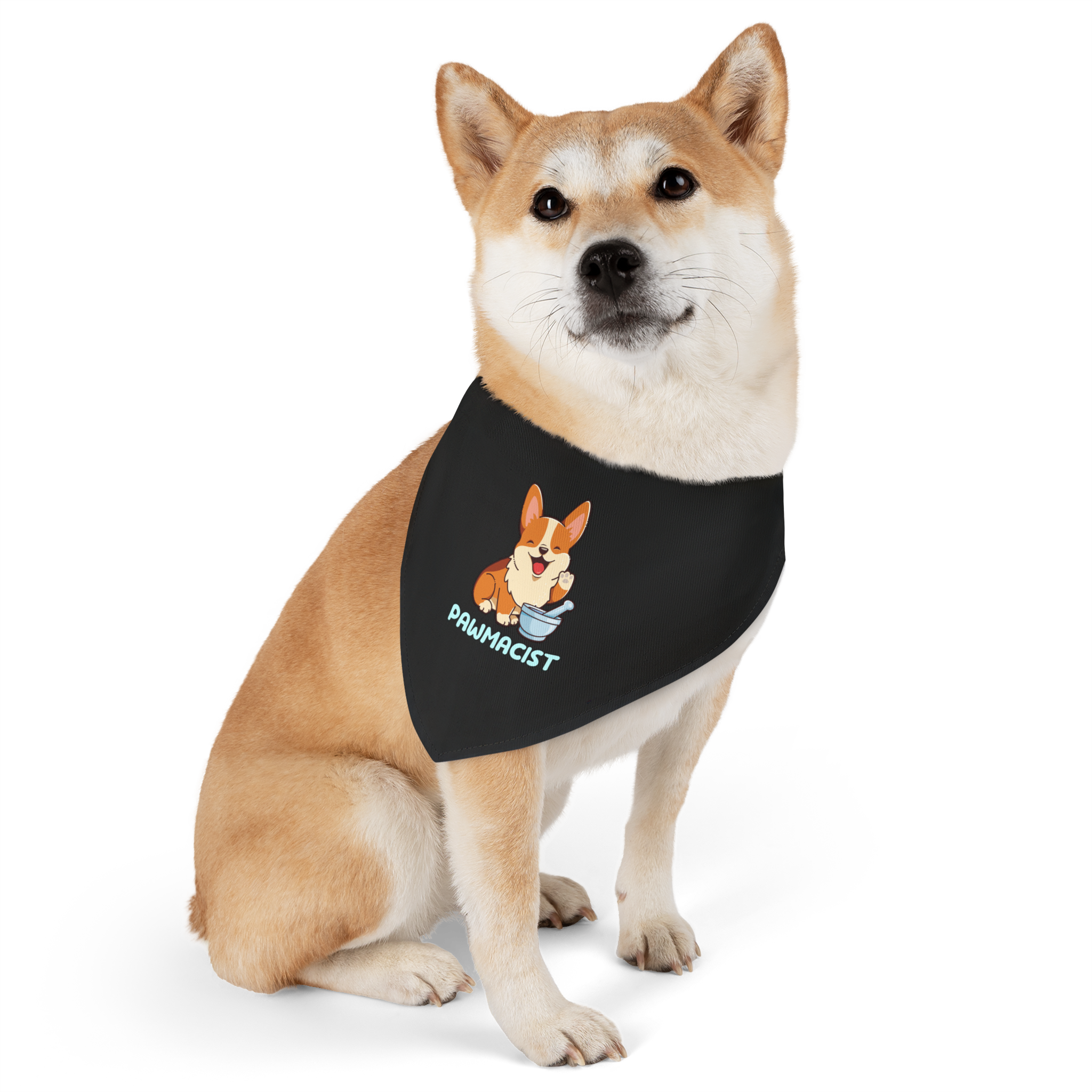 Corgi Pharmacist Illustration Bandana | Pet Collar Bandana - Image 7