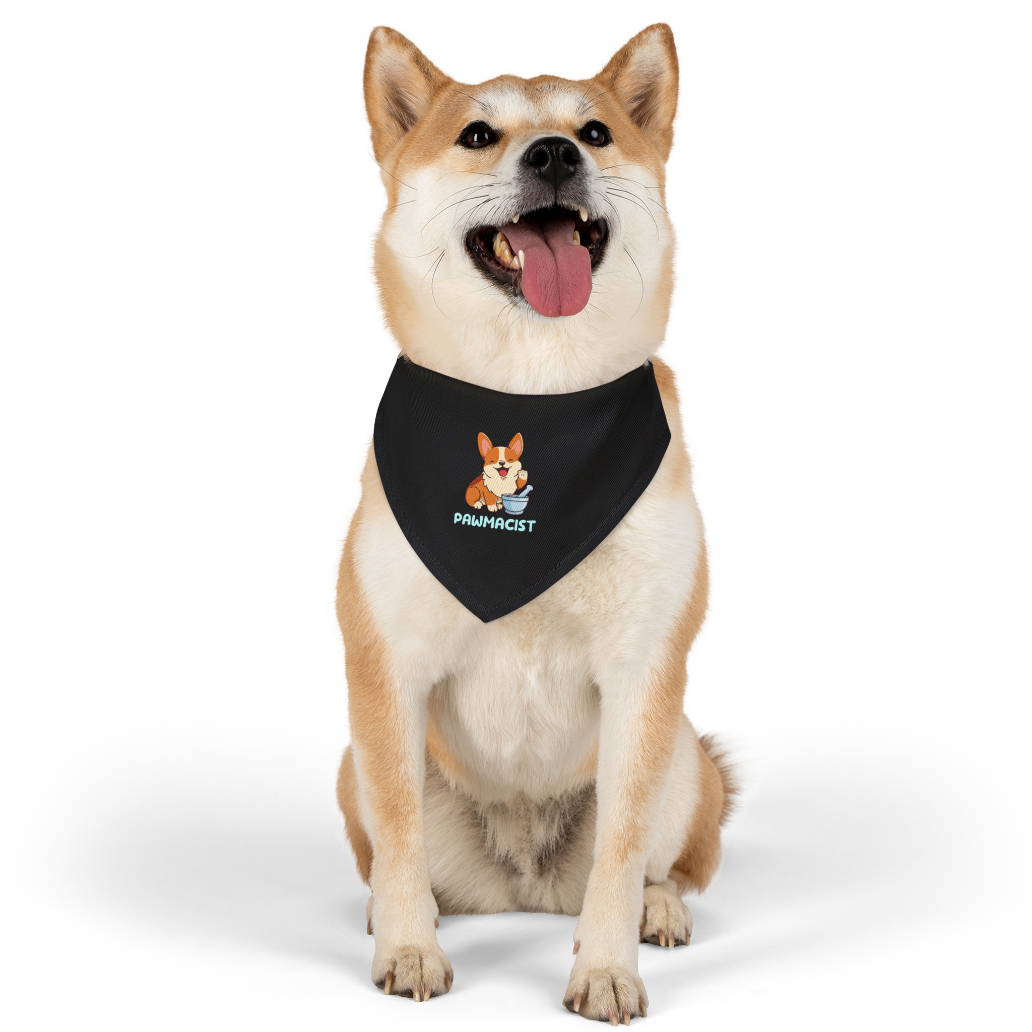 Corgi Pharmacist Illustration Bandana | Pet Collar Bandana
