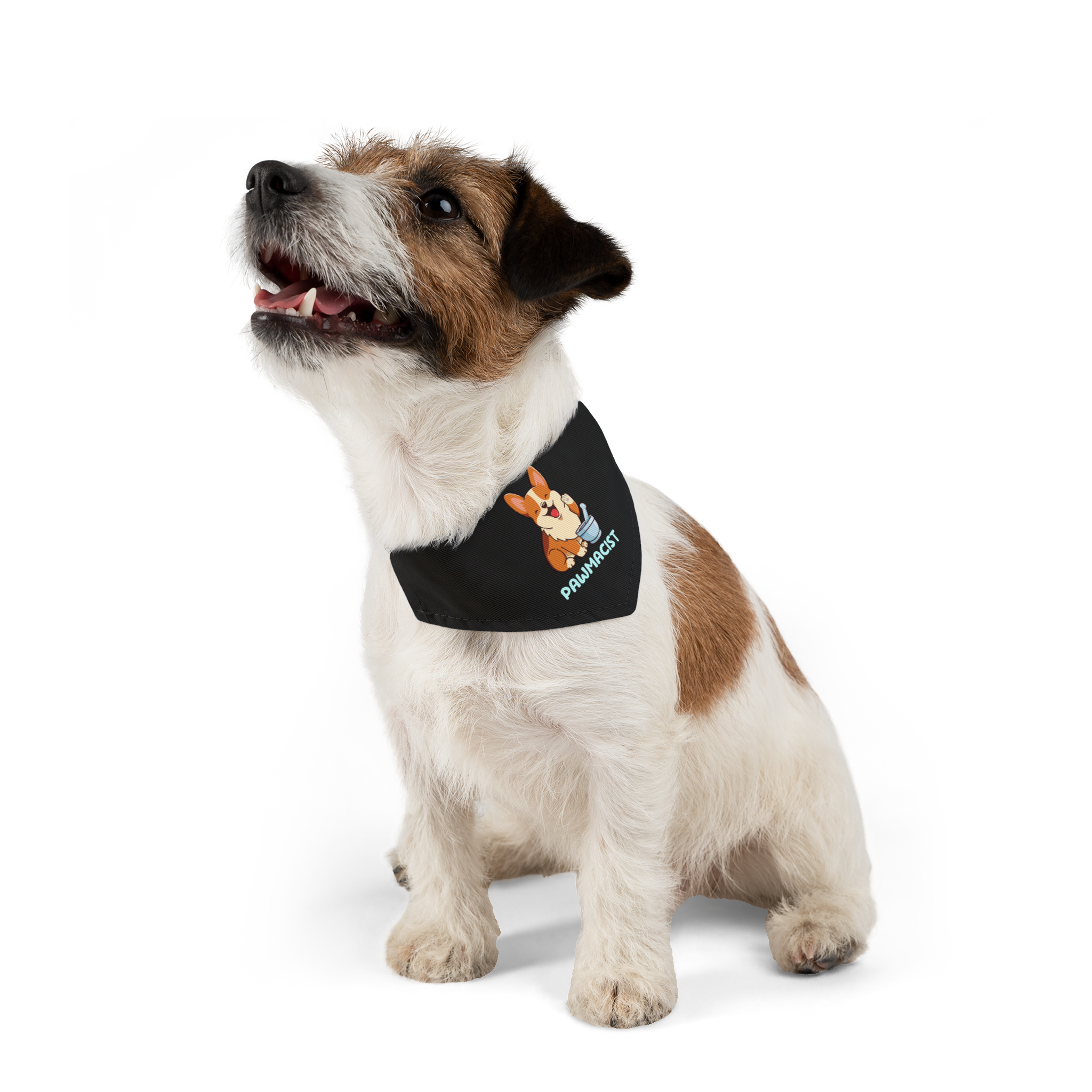 Corgi Pharmacist Illustration Bandana | Pet Collar Bandana - Image 4