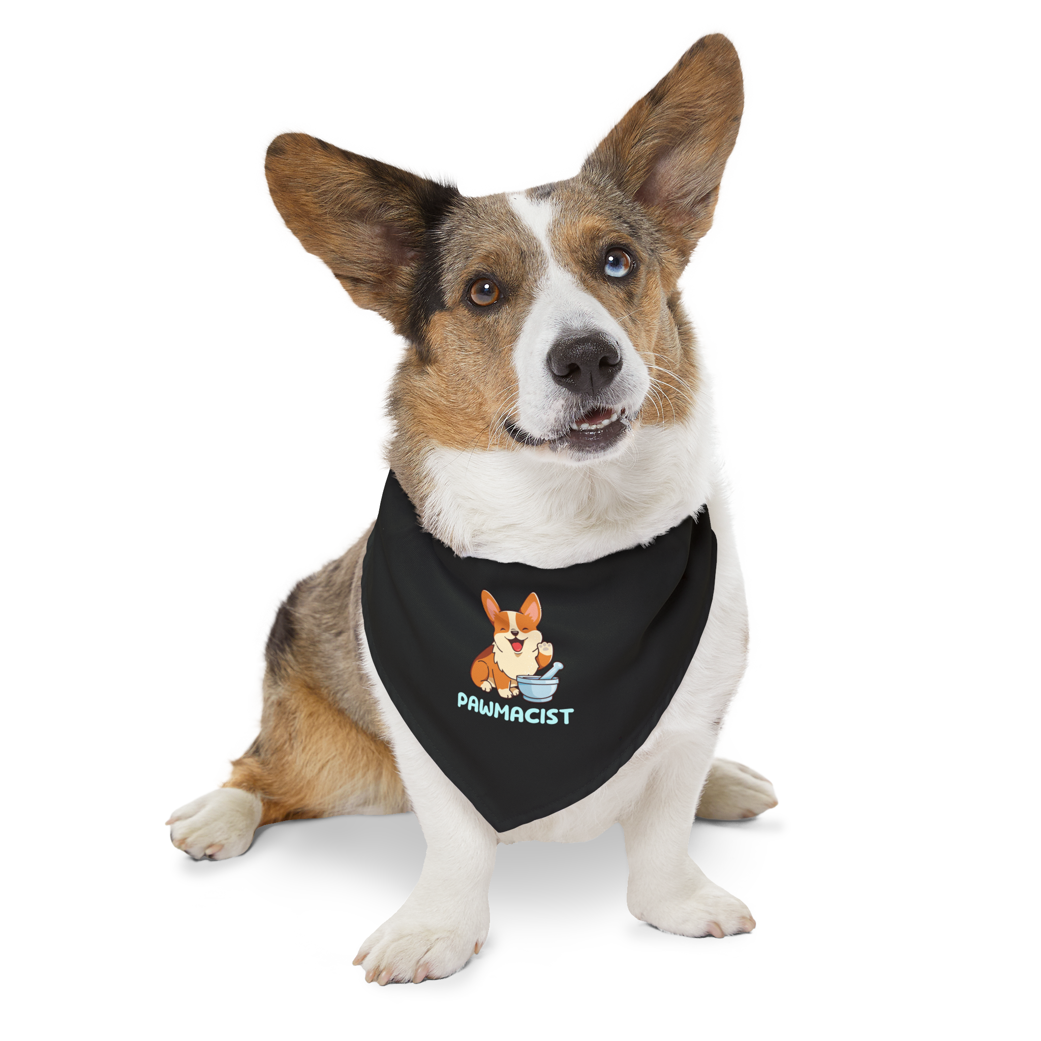 Corgi Pharmacist Illustration Bandana | Pet Collar Bandana - Image 8