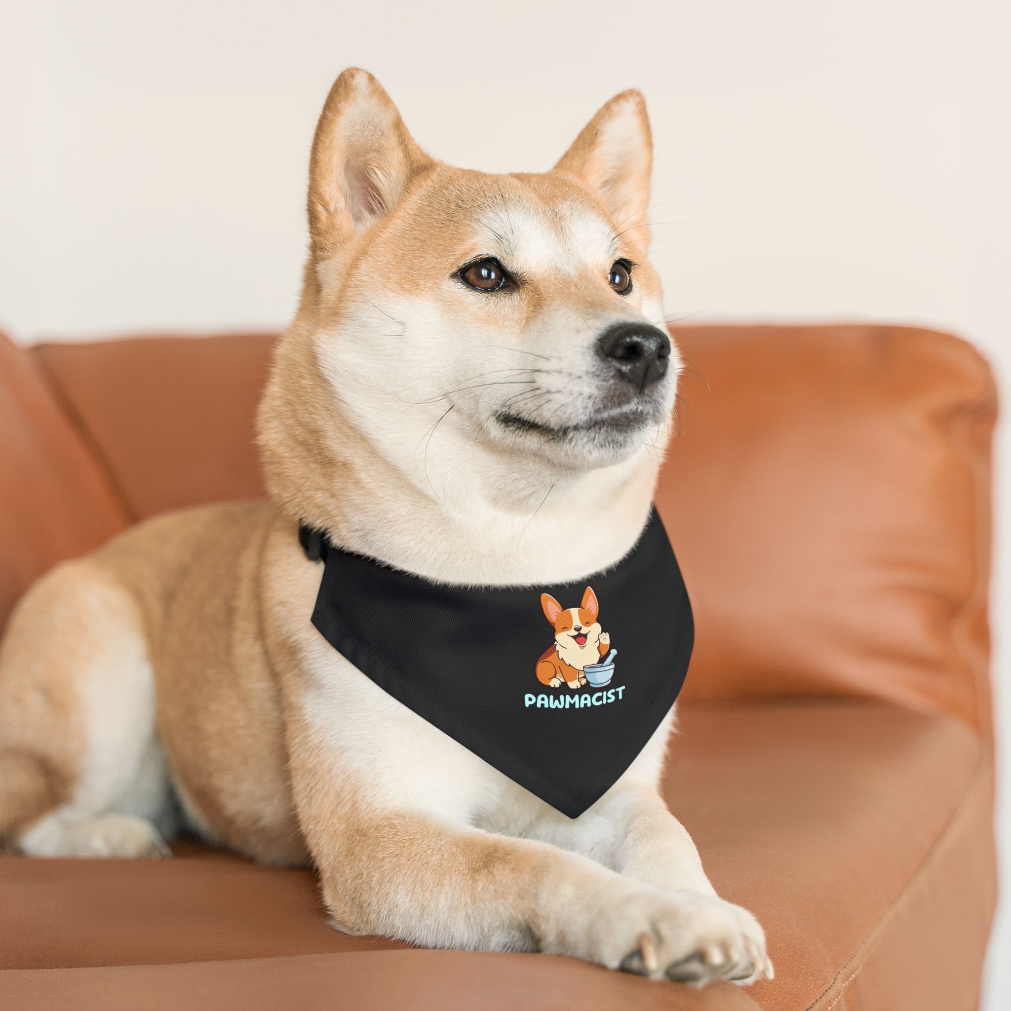Corgi Pharmacist Illustration Bandana | Pet Collar Bandana - Image 3