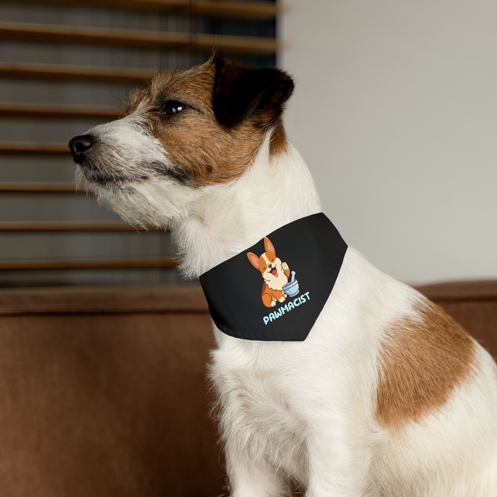 Corgi Pharmacist Illustration Bandana | Pet Collar Bandana - Image 6